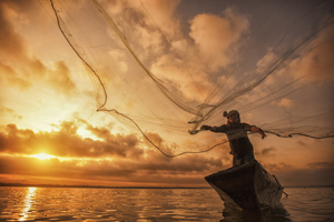 Disease-causing Opisthorchis viverrini is consumed as cysts within raw fish by people in Thailand, Laos and Cambodia.
