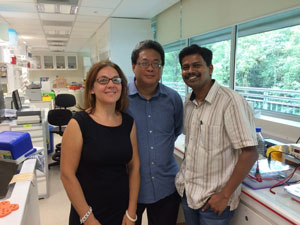 From left to right: Maria Curotto de Lafaille, Fook Tim Chew and Anand Andiappan.