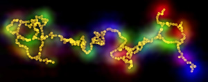 A 750-nanometer-long network of gold nanoparticles (yellow). The colors around the network show where different colors of light are localized.