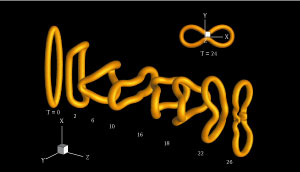 Evolution of a vortex ring at different times as it moves from the left to the right.