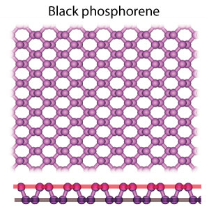 Black phosphorene nanoflakes are only dynamically stable on a moderate interaction substrate, leading to continuous growth of single layer phosphorene.
