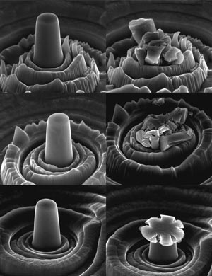 Scanning electron microscope images show pristine (left) and compressed (right) micropillars of (top) chromium nitride, (middle) chromium aluminum nitride, and (bottom) chromium aluminum nitride / silicon nitride nanocomposite.