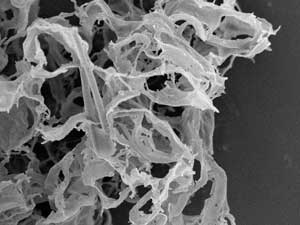 Nanoscale, cross-linked polymer scaffolds can help deliver a surprisingly high amount of drugs with poor water solubility to aqueous targets.
