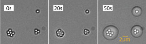 Water droplets grow around clusters of silica particles on a surface.