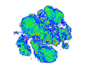 A 2D 'map' of multi-dimensional T cell profiles shows remarkable diversity among the helper T cells isolated from various types of human tissue.