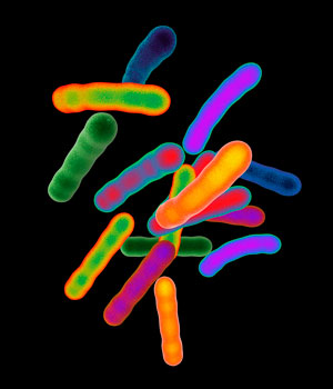 The presence of Mycobacterium tuberculosis in the body could be detected in a simple, 15-minute blood test that turns blue when the bacteria is present. The bacteria turns dark magenta in standard spit tests.
