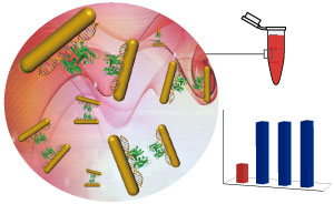 Gold nanorods coated with dsDNA act like an OR logic gate in the presence of estrogen receptor proteins ERα and ERβ.