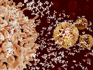 White blood cells, such as the B lymphocyte (left, colored orange), use inflammation to combat infection. In some cases, however, this inflammation can cause damage of its own.
