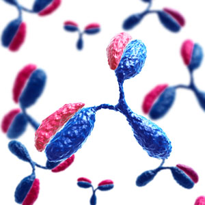 A*STAR researchers have discovered an antibody-vaccine candidate against all four serotypes of dengue virus.