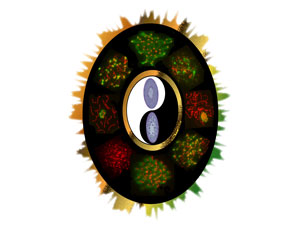 Yin-Yang symbolism in a depiction of fluorescently-stained chromosomes in normal and mutant mouse testis cells.