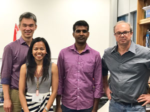 Scientists of the A*STAR Singapore Immunology Network Olaf Rotzschke group who participated in the study (from left: Puan Kia Joo, Nurhashikin Binti Yusof, Dilip Kumar, Olaf Rotzschke)