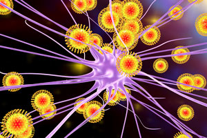 Illustration of zika viruses attacking a neuron.