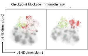 A plot of all the different possible phenotypes of T cells before without (left) vs. with (right) immune checkpoint blockade immunotherapy. The colored dots represent T cells that are tumor neoantigen specific and colored by which tissue they were derived from: (red) tumor, (green) dLN (draining lymphnode - the lymph-node closest to the tumor - peripheral immune tissue), (blue): ndLN (non-draining lymphnode - peripheral immune tissue) and (orange): spleen (peripheral immune tissue).