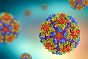 A computer illustration of the chikungunya virus.