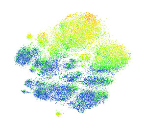 Green and red tumor-infiltrating lymphocytes expressing CD39 in human lung cancer.
