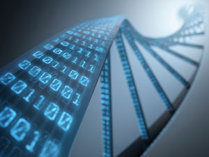 By using machine learning, A*STAR researchers have identified 34 hotspots in non-coding DNA that are strongly statistically linked with gastric cancer.