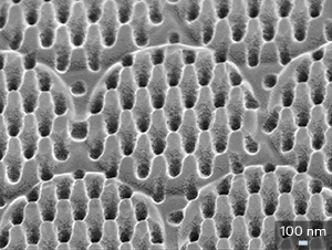 Scanning electron microscope image showing the engineered anti-reflective nanostructures that mimic structures found on the surface of a moth’s eye.
