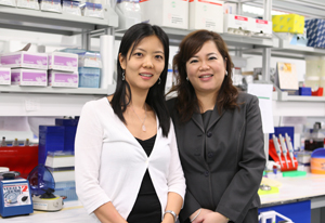 Lisa Ng (left), lead virologist on the VereTrop™ project at SIgN, and Rosemary Tan (right), CEO of Veredus Laboratories Pte Ltd.