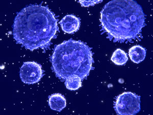 A*STAR researchers have discovered a gene that keeps white blood cells alive