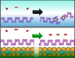 The absorption of oxygen (red) damages phosphorene (purple, top), but the phosphorene is protected when on a molybdenum diselenide substrate (bottom).
